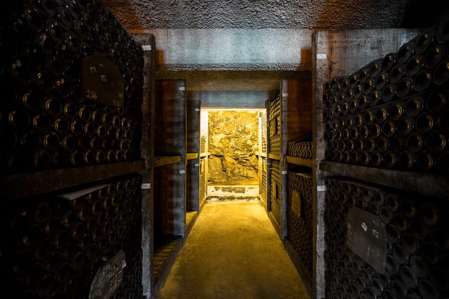 Burmester Cellar Tour - The two Port tastings: small sample, big learning payoff