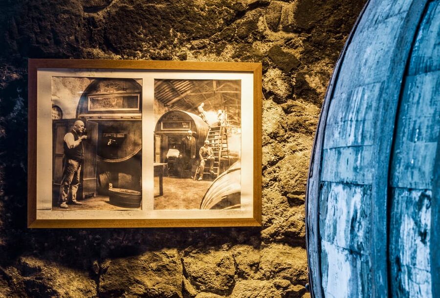 Burmester Cellar Tour - Douro DOC and the production story you’ll hear