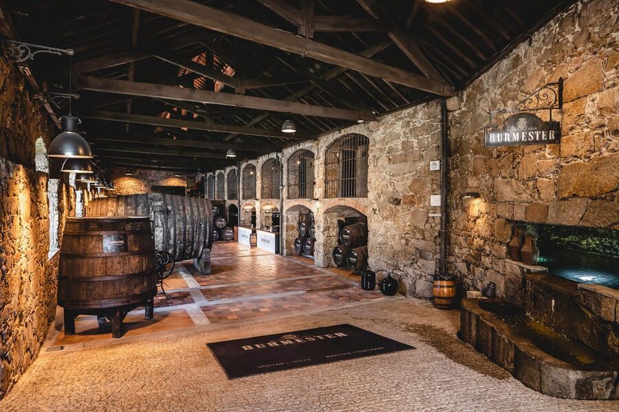 Burmester Cellar Tour - Price and value: is $20 for Port tastings worth it?