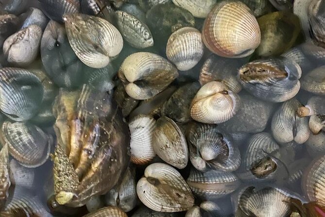 Buy, Cook & Taste-Gastronomic Tour North Portugal - What you’ll actually eat: from seafood starters to organic-fruit dessert
