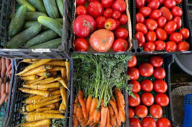 Buy, Cook & Taste-Gastronomic Tour North Portugal - How the logistics work for your day in Porto and nearby towns