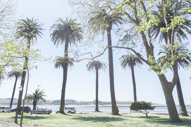 City Bike Rental in Porto - Where You’ll Want to Stop for Drinks and Fresh Fish