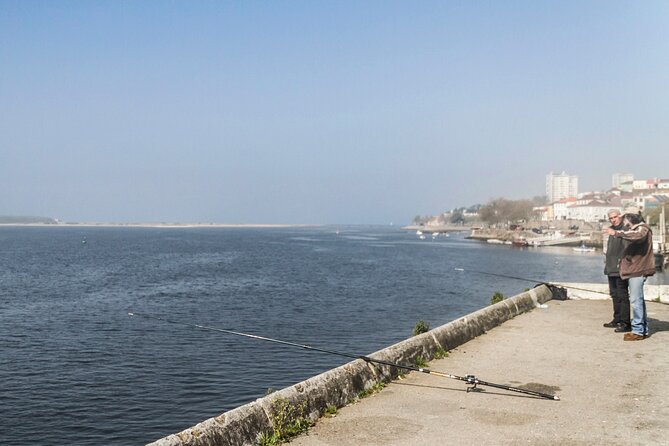 City Bike Rental in Porto - Building Your Route on Bike Paths (Without Getting Lost)