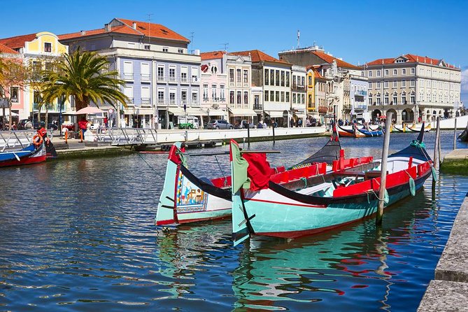 Coimbra & Aveiro Full Day Private Tour from Porto - Timing that works: how to handle lunch and avoid end-of-day stress
