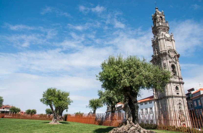 Combo: Porto City Half-Day Tour & Aveiro Half-Day Tour - Porto’s UNESCO center: São Bento tiles, the Cathedral, and Lello’s storefront
