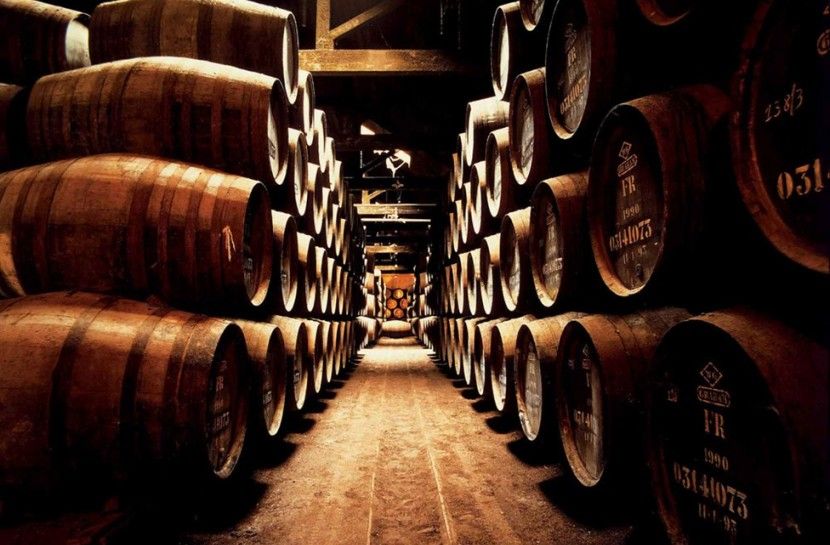 Combo: Porto City Half-Day Tour & Aveiro Half-Day Tour - Should you book the Porto + Aveiro combo?