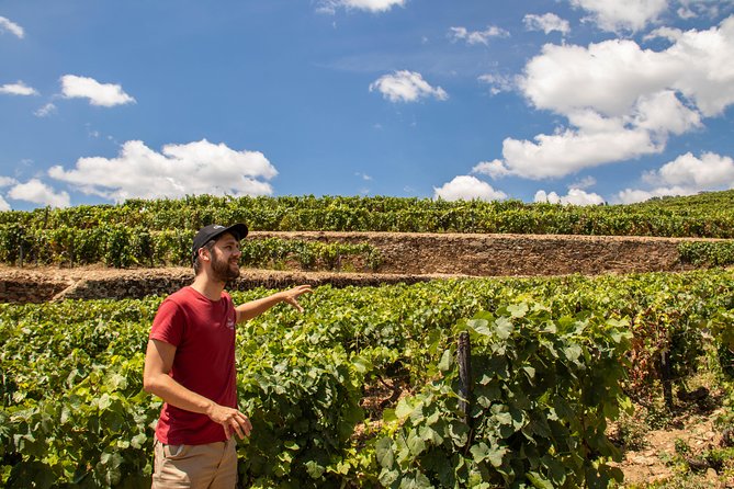 Complete Douro Valley Wine Tour with Lunch, Wine Tastings and River Cruise - Key Highlights You’ll Actually Feel in the Day