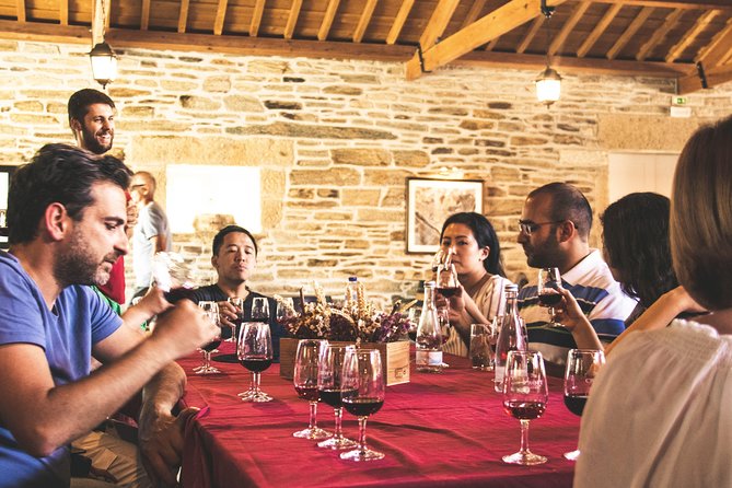 Complete Douro Valley Wine Tour with Lunch, Wine Tastings and River Cruise - Porto to the Douro: A Guided Ride That Sets Up the Tasting