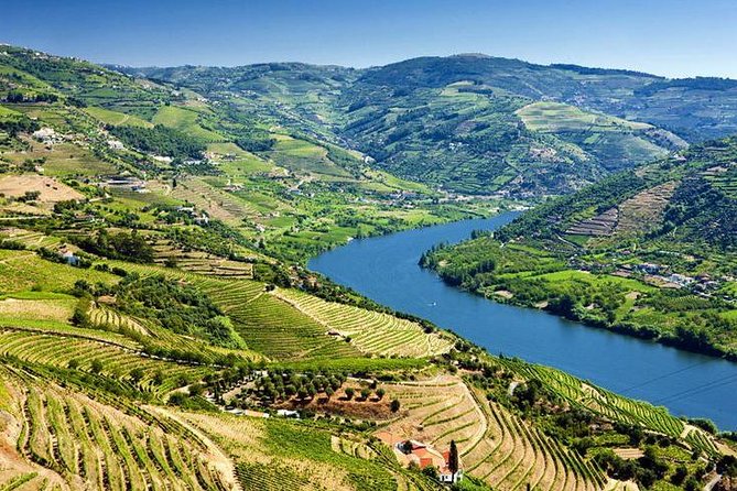 Complete Douro Valley Wine Tour with Lunch, Wine Tastings and River Cruise - After Lunch: Viewpoint Stop at São Cristovão do Douro (Quick, But Worth It)