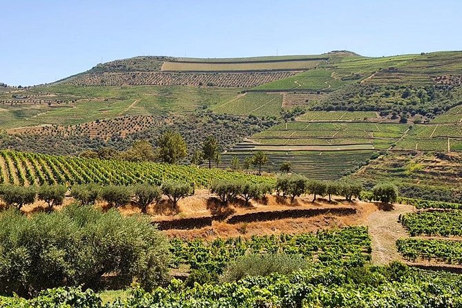 Complete Douro Valley Wine Tour with Lunch, Wine Tastings and River Cruise - Pinhão + the Rabelo Cruise: The Douro Feels Slower on the Water