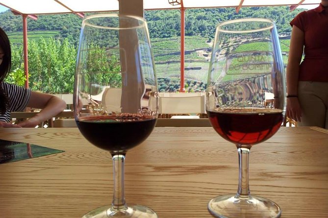 Complete Douro Valley Wine Tour with Lunch, Wine Tastings and River Cruise - The Drive on Estrada Nacional 222: Scenic Road Time That Feels Like Part of the Tour