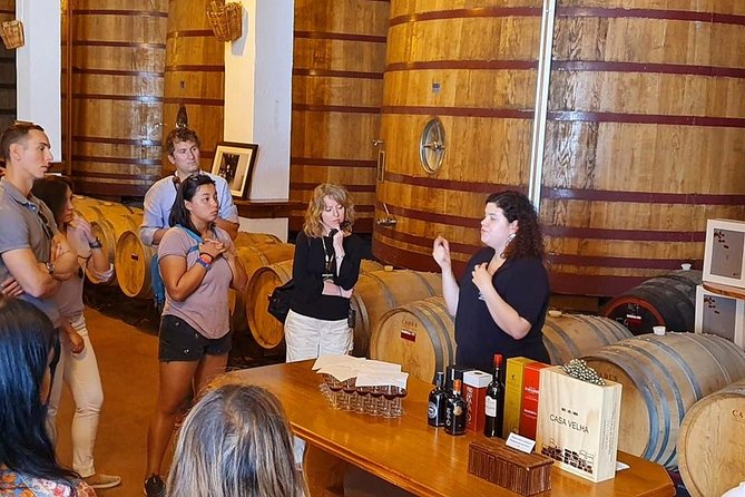 Complete Douro Valley Wine Tour with Lunch, Wine Tastings and River Cruise - Stop 5: Folgosa Winery—A Final Tasting to Close the Loop