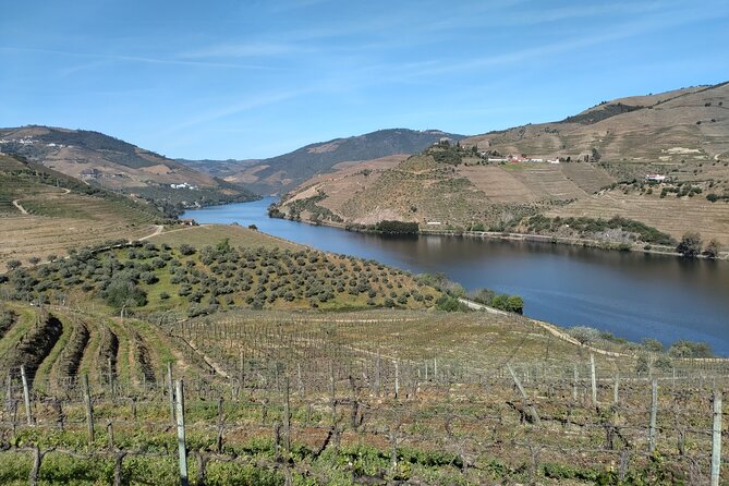 Complete Private Douro Valley Wine Tour - Your guide makes the day: Jorge and Nuno’s approach