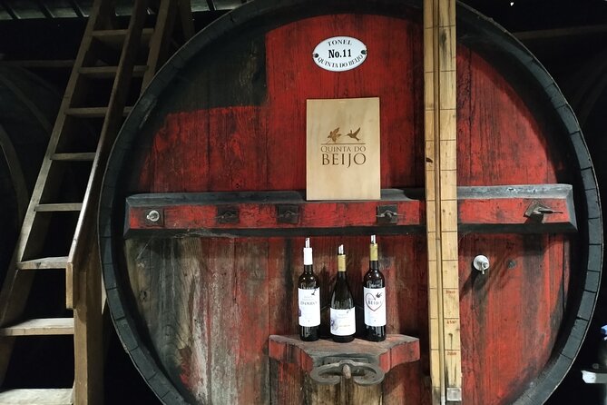 Complete Private Douro Valley Wine Tour - Timing, comfort, and making it feel worth the drive