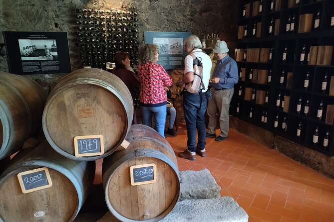 Complete Private Douro Valley Wine Tour - Pinhão port cruise: the relaxing start you’ll be glad you booked