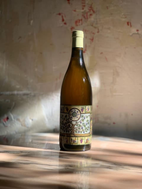 Córdoba: Discover the Soul of Spanish Natural Wine & Cuisine - Córdoba’s Natural Wine Tasting in Norte Portugal: What It Really Feels Like