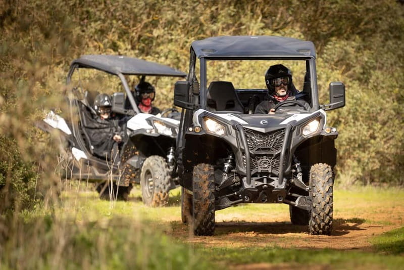 cross country - Before You Go: What’s Required and What’s Actually Strict