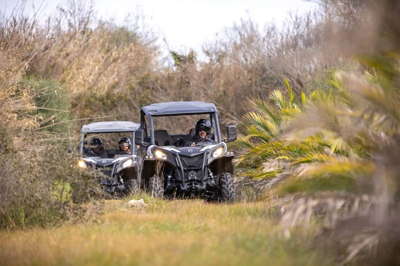 cross country - Meeting Point and Pickup: How You’ll Get There Without Stress