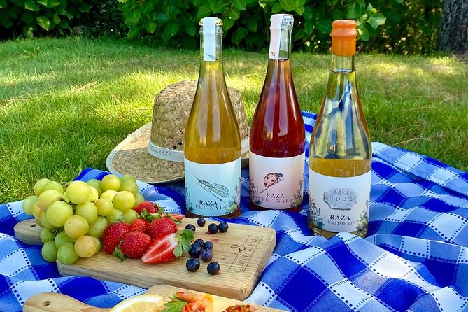 Customized Wine Tasting: Your Choices - How the 3-wine format works (Dom Diogo, Quinta da Raza, Natural Wine)