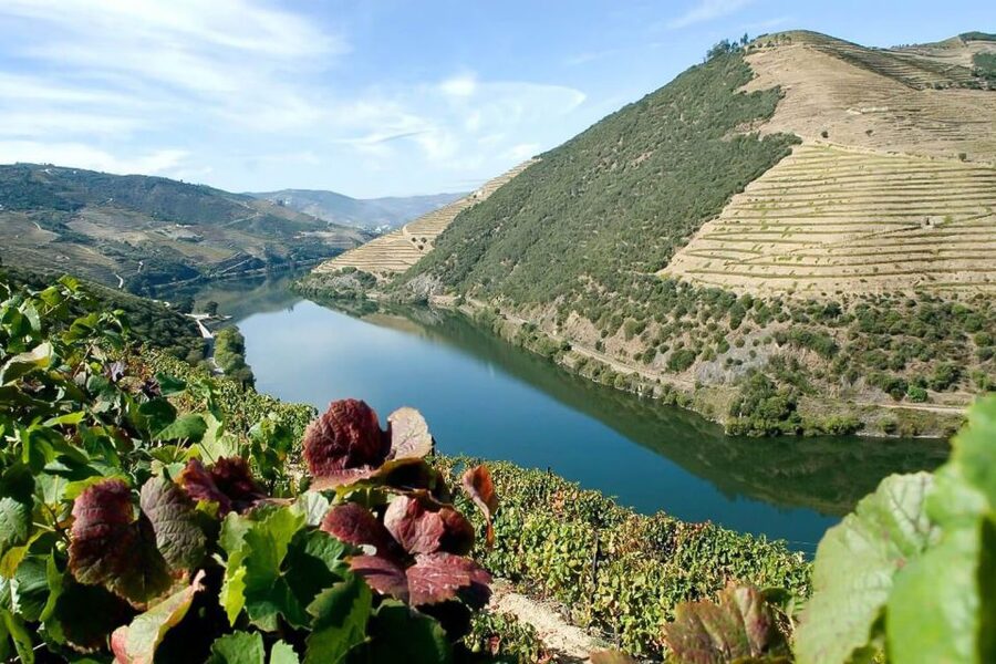 Day Cruise from Porto to Pinhão with Breakfast and Lunch - The Route’s Big Draw: Locks and the Dam-View Circuit