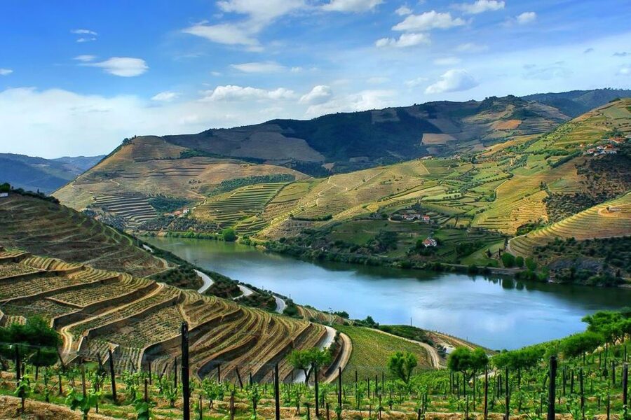 Day Cruise from Porto to Pinhão with Breakfast and Lunch - Régua and Bagaúste: Where the Wine Culture Shows Up Fast