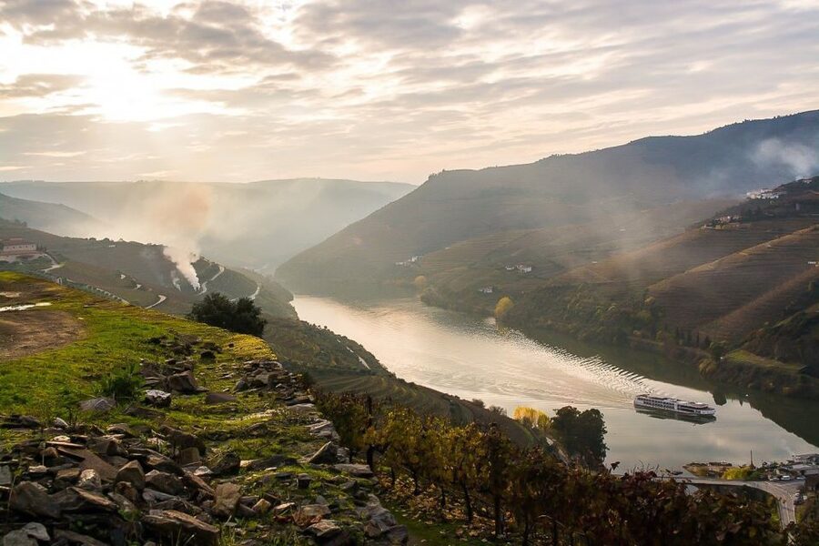 Day Cruise from Porto to Pinhão with Breakfast and Lunch - The Boat Experience: Comfort, Seating, and Sound