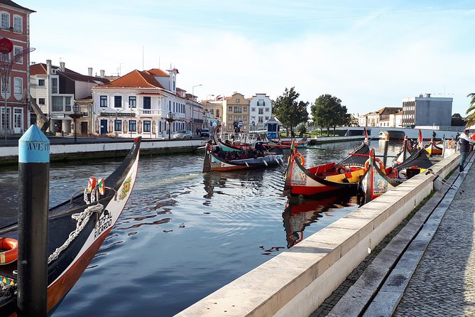 DayTrip Porto to Lisboa (optional visit to Aveiro_Coimbra_Fátima) Since 400eur - Choose your stops: Aveiro, Coimbra, and Fatima along the way