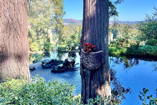 Discovering Magical Garden of Vines Tour in Quinta da Aveleda - Getting from Porto: the chauffeured van and onboard perks