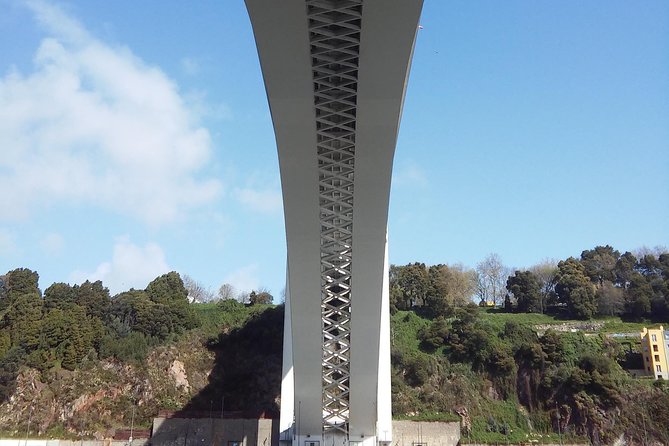 Discovering Porto in an eco-friendly vehicle - Miradouro Serra do Pilar: Gaia Views Across the Duoro