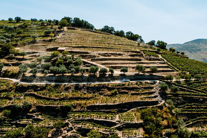 Douro Adventure - Tour 4x4 | Full Day Private Tour | All Included - Who This Private Douro Day Trip Fits Best