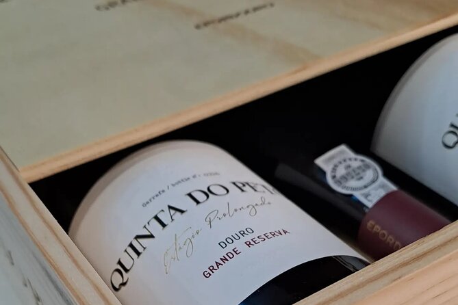 Douro and Port Wine Tasting in Vila Nova de Gaia - The Tasting Lesson: Terroir, Grape Varieties, and Winemaking Methods