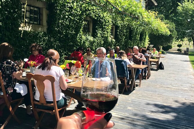Douro: luxury walking tour with lunch at Quinta da Pacheca - The 2-hour walk: scenery, effort, and good pacing