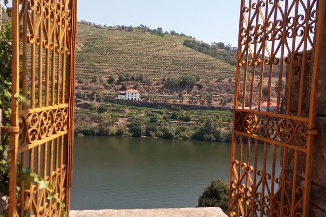 Douro: luxury walking tour with lunch at Quinta da Pacheca - Old wine cellars and tastings: where the history becomes physical