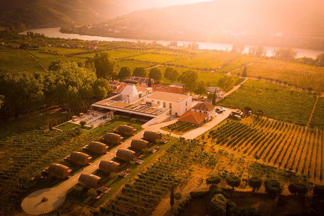 Douro: luxury walking tour with lunch at Quinta da Pacheca - Price and value: what you’re paying for at $301.03