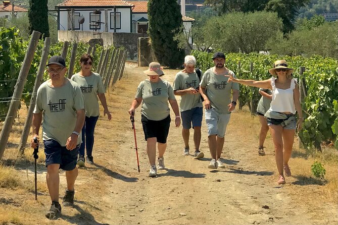 Douro: luxury walking tour with lunch at Quinta da Pacheca - Who this tour is best for
