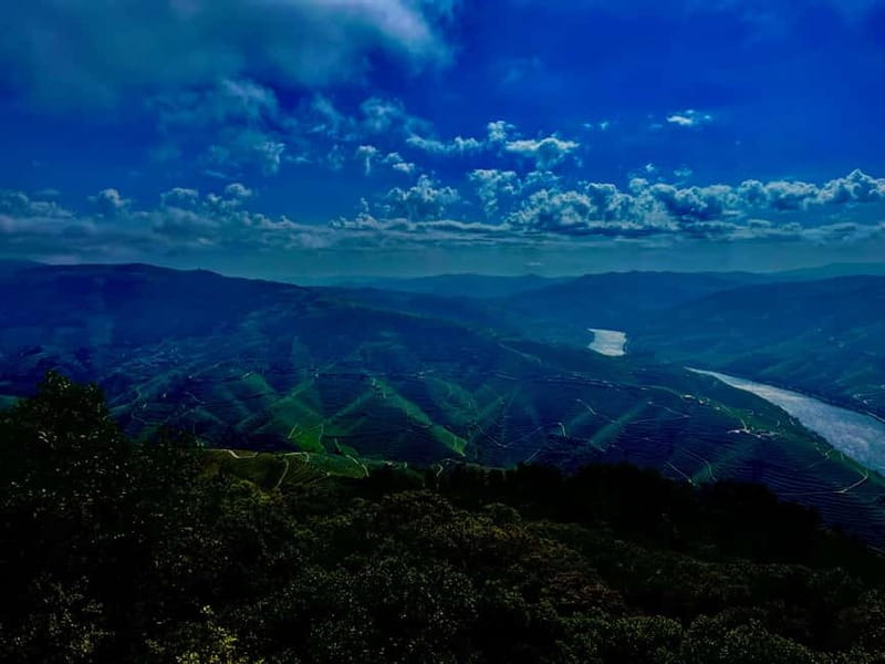 DOURO PREMIUM - Terraced vineyards and wine time: what the guided stop really gives you