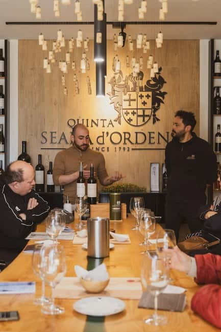 DOURO PREMIUM - Wine tastings: Port, DOC wines, and the olive oil extra