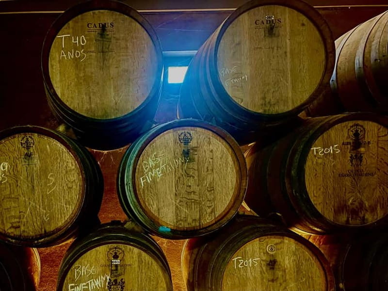 DOURO PREMIUM - Price and value: does $206 make sense for an 8-hour day?