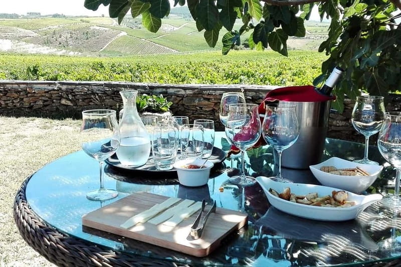 Douro Private Tour – Customizable Experience - Wine Tasting Add-Ons: Choosing Between Family Estates and Premium Quintas