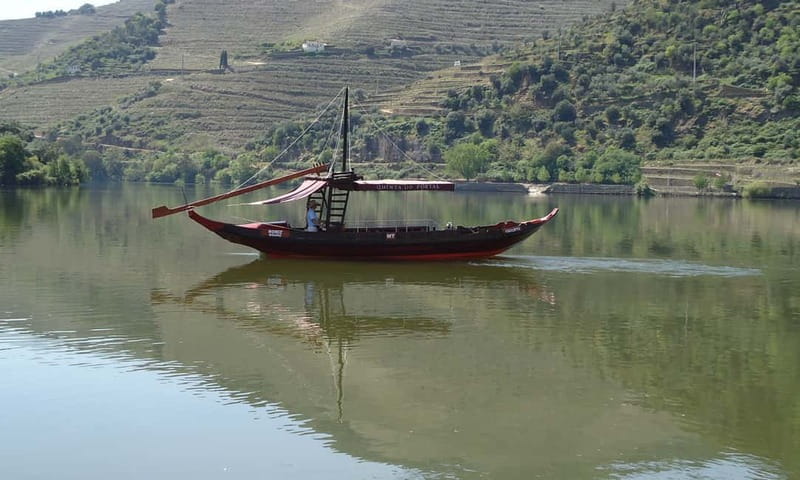 Douro Private Tour – Customizable Experience - Who This Private Douro Tour Suits Best