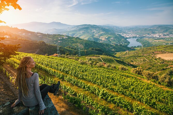 Douro Private Tour with Transport - Why a Private Douro Day Feels Different From a Bus Tour