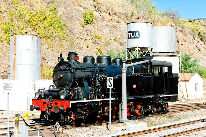 Douro Private Tour with Transport - Viewpoints Along the Way: How to Get the Best Stops