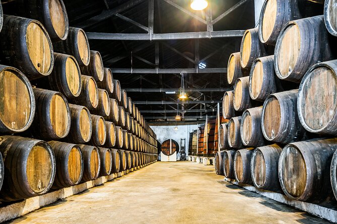 Douro Private Tour with Transport - Vale do Douro River Cruise: What the Boat Ride Gives You