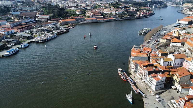 Douro River Kayak or Standup Paddleboard Tour - Key things you’ll notice on this Douro River kayak or SUP tour