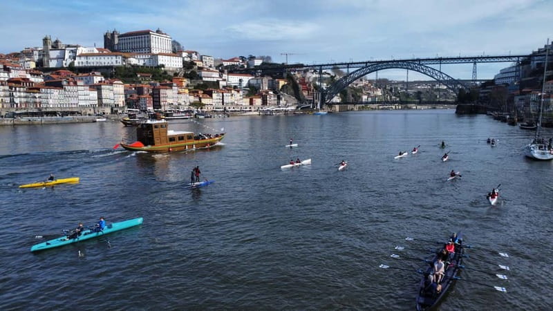 Douro River Kayak or Standup Paddleboard Tour - Marina do Freixo: Where you start and how the tour runs