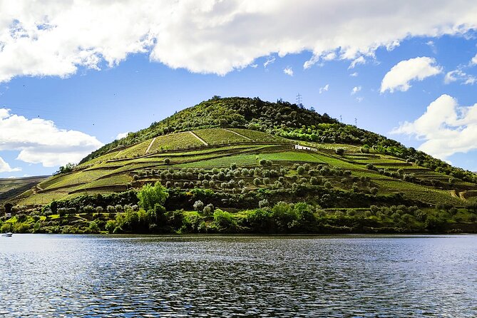 Douro | Roots & History - Tour with a local - Key highlights to know before you go