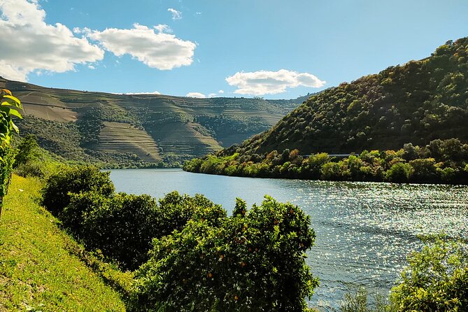 Douro | Roots & History - Tour with a local - Pinhão viewpoints and a calm Rabelo cruise on the Douro River