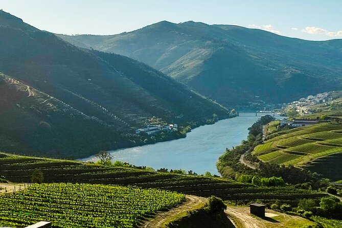 Douro | Roots & History - Tour with a local - Cumieira winery visit: another round of tastings