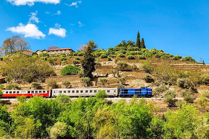 Douro | Roots & History - Tour with a local - Price and time: does $402.19 per person make sense?