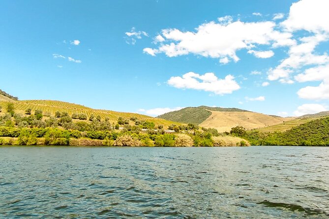 Douro | Roots & History - Tour with a local - Who this Douro Roots & History tour fits best